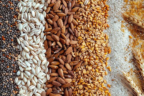 Cable Drag Conveyor Applied To Food Cable Drag Conveyor Applied To Food